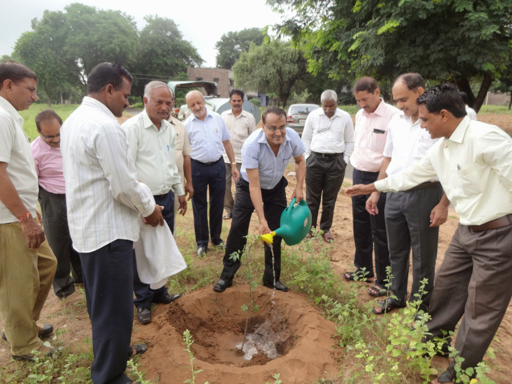 Massive plantation in leadership of director at CSWRI farm Avikanagar at different locations on dated 5.09.2014 on the eve of teacher day