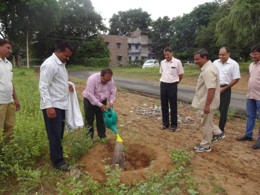 Massive plantation in leadership of director at CSWRI farm Avikanagar at different locations on dated 5.09.2014 on the eve of teacher day