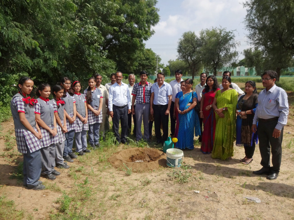 Massive plantation in leadership of director at CSWRI farm Avikanagar at different locations on dated 5.09.2014 on the eve of teacher day