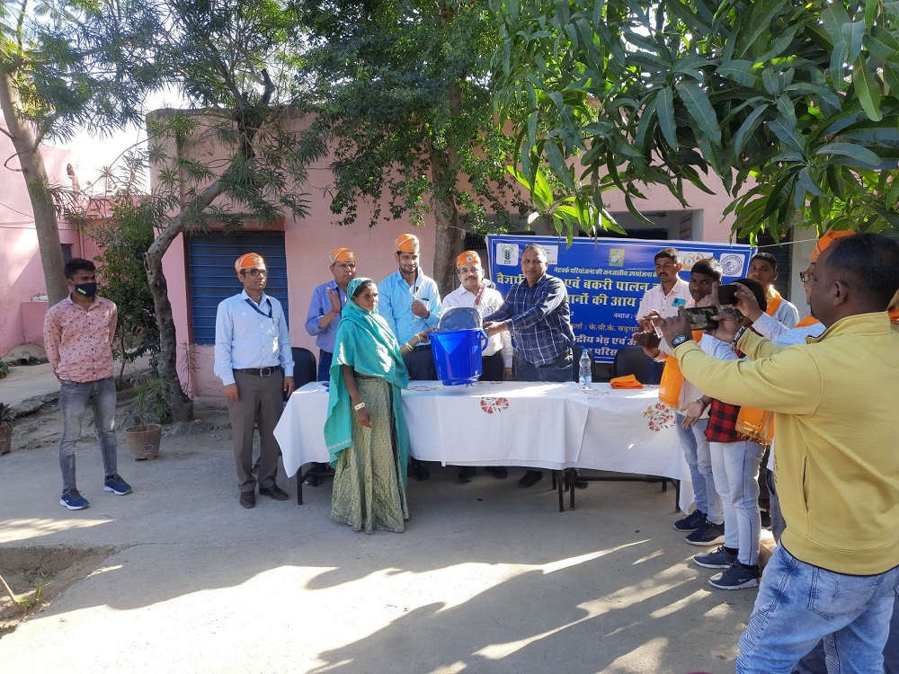 Arid Region Campus Bikaner organized Training programme at Rawach Village on 4th March under Tribal Sub Plan of Net Work Project on Sheep Improvement