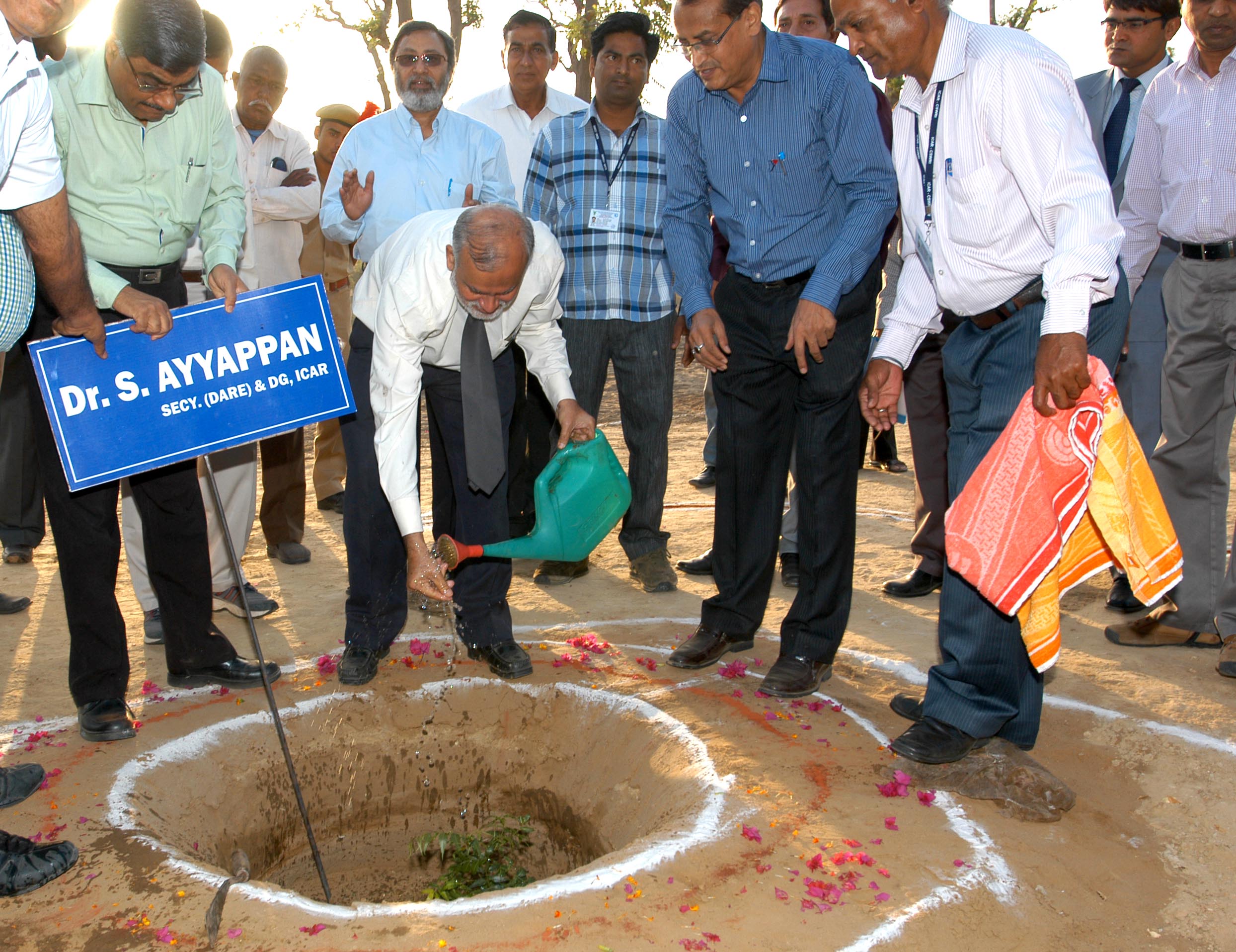 Plantation for green enveronment @ CSWRI Campus