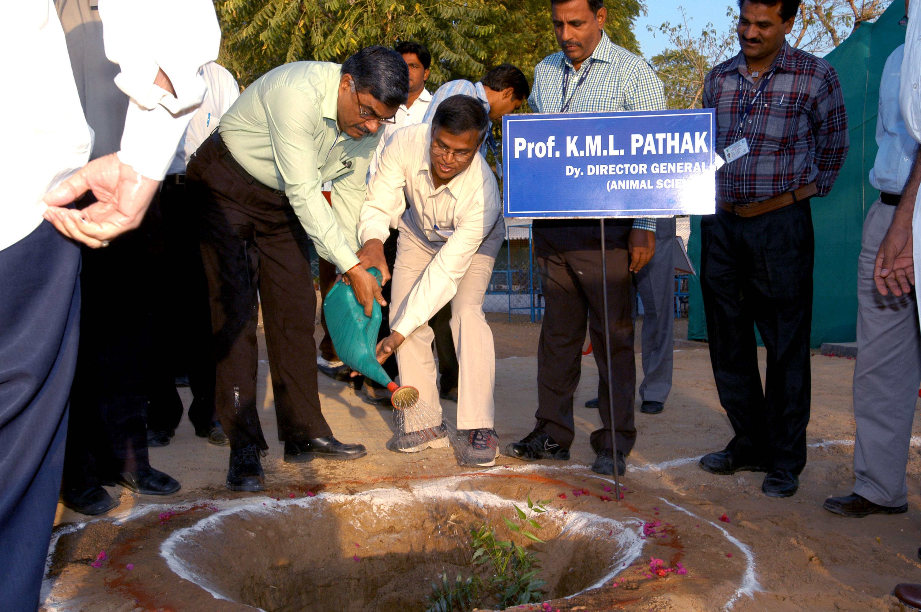 PLantation for Green Enveronment @ CSWRI Campus