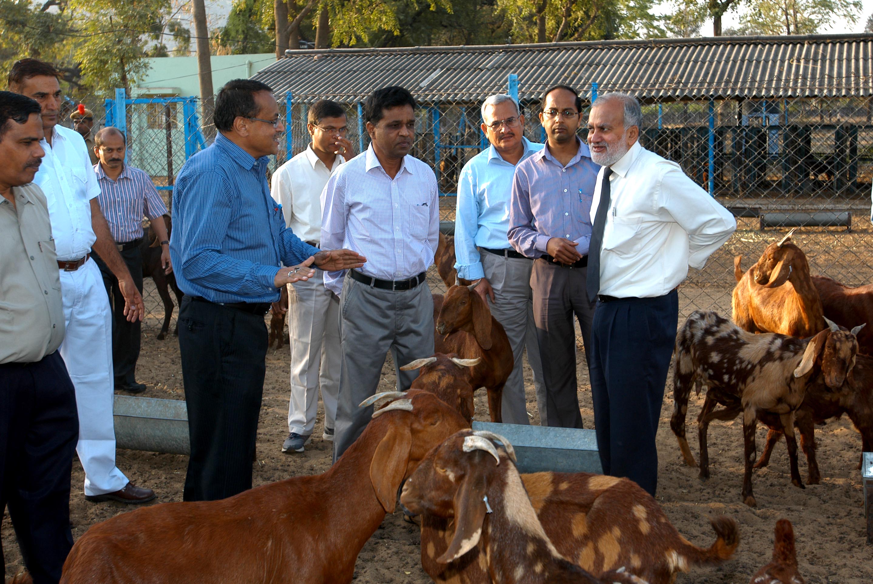 Visit to Goat Sector