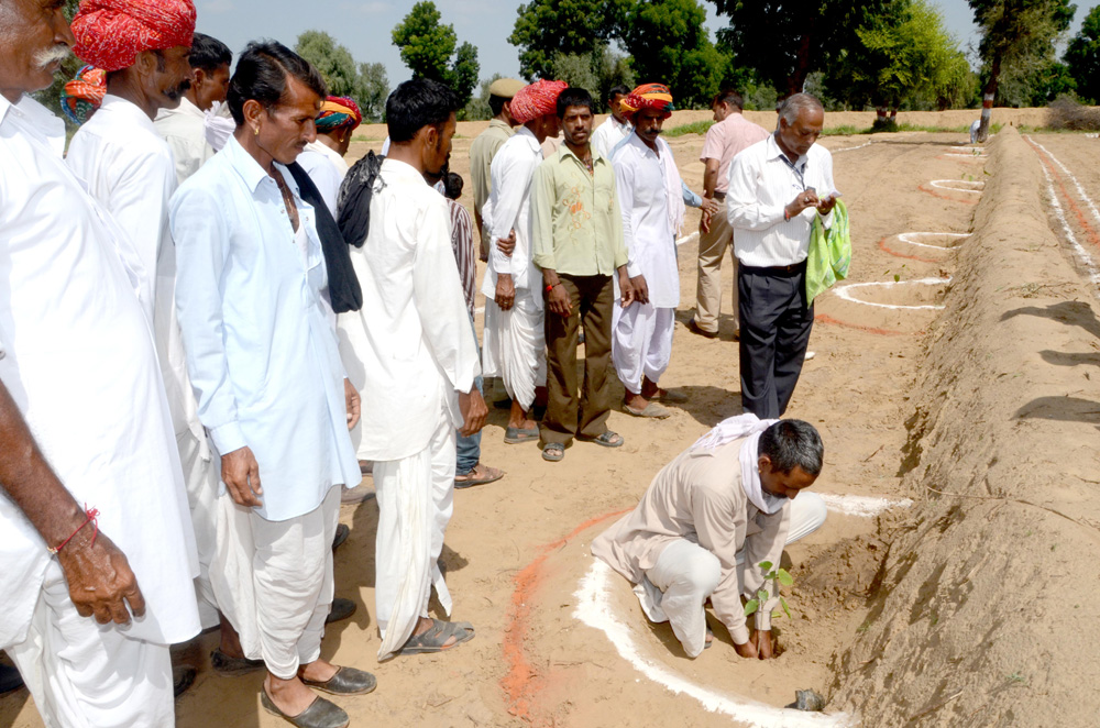 Tree sapling distribution to farmers